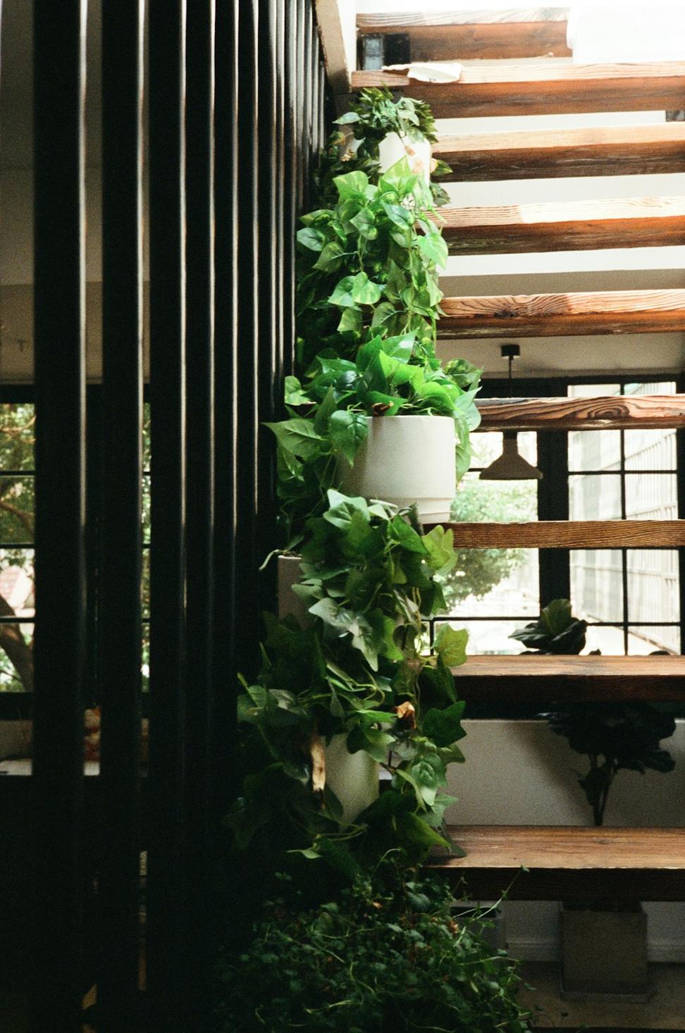 King West Restaurant
